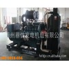 現(xiàn)貨供應優(yōu)質(zhì)斗山大宇發(fā)電機組，帕金斯發(fā)電機組，德國曼發(fā)電機組