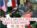 wc連衣裙批發(fā)牛仔褲批發(fā)服裝批發(fā)尾貨批發(fā) (1)